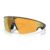 prizm 24k lenses, black frame